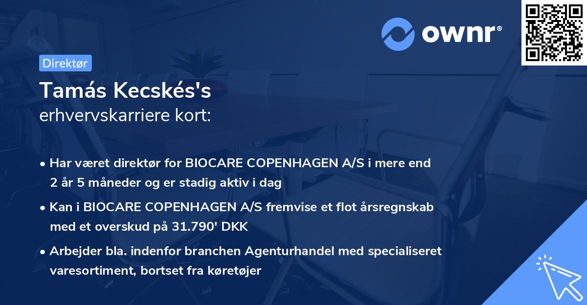 Tamás Kecskés's erhvervskarriere kort