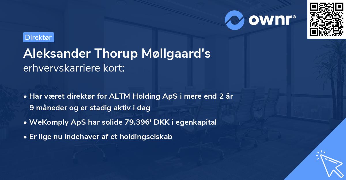 Aleksander Thorup Møllgaard's erhvervskarriere kort