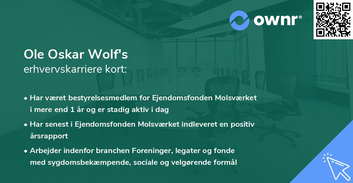 Ole Oskar Wolf's erhvervskarriere kort