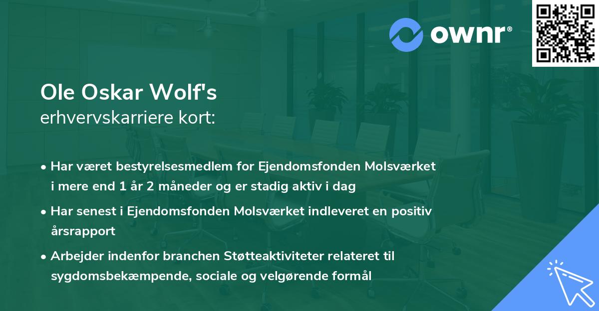 Ole Oskar Wolf's erhvervskarriere kort