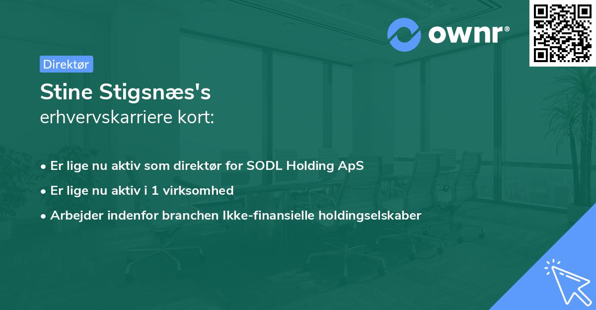 Stine Stigsnæs's erhvervskarriere kort