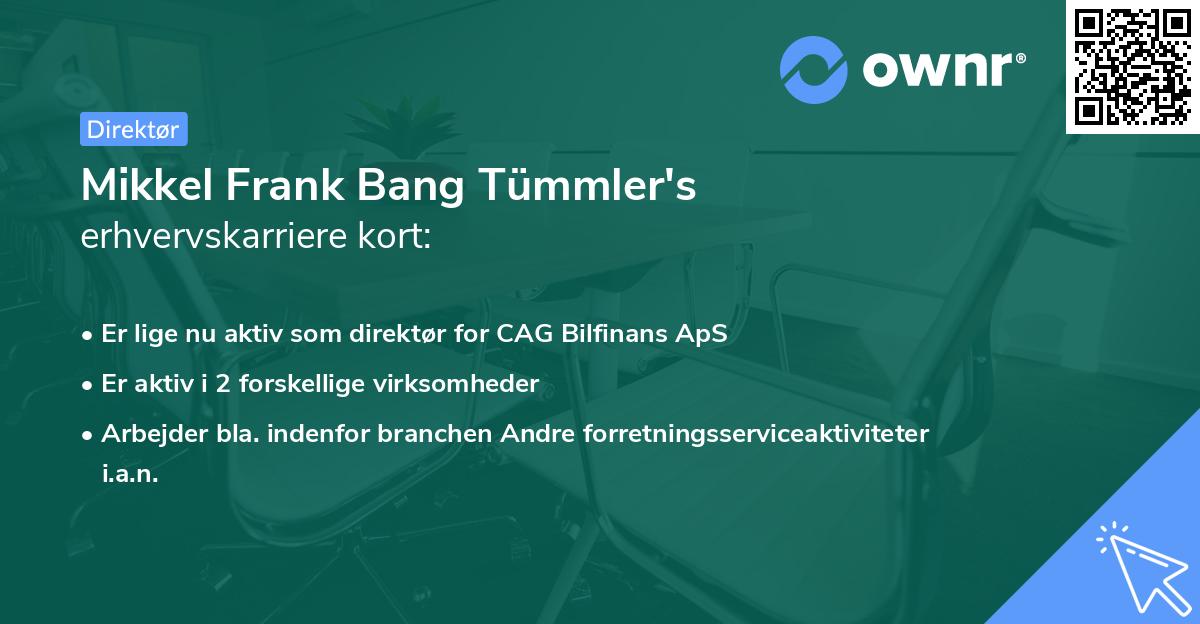 Mikkel Frank Bang Tümmler's erhvervskarriere kort