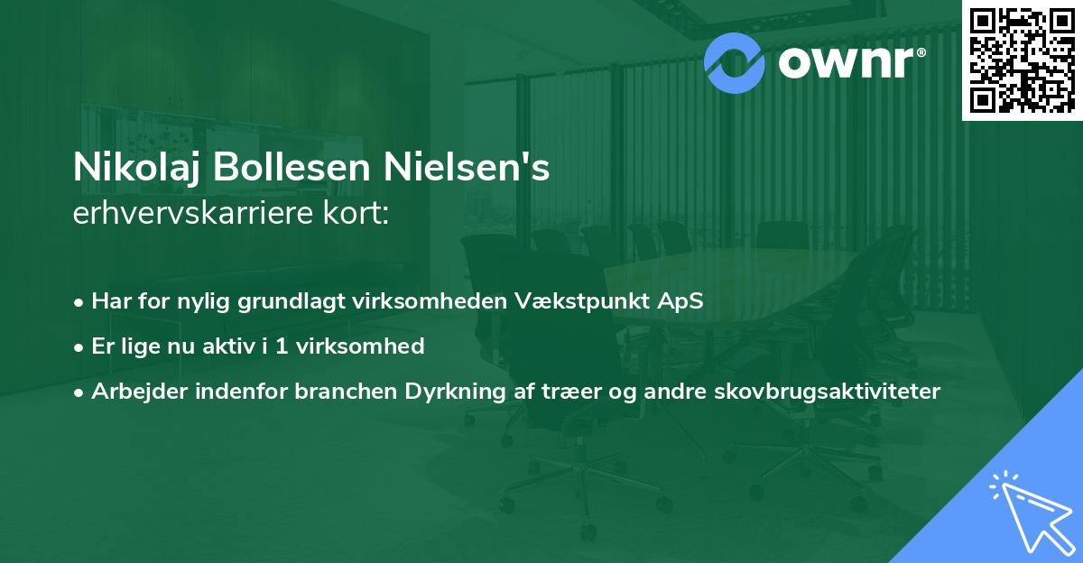 Nikolaj Bollesen Nielsen's erhvervskarriere kort