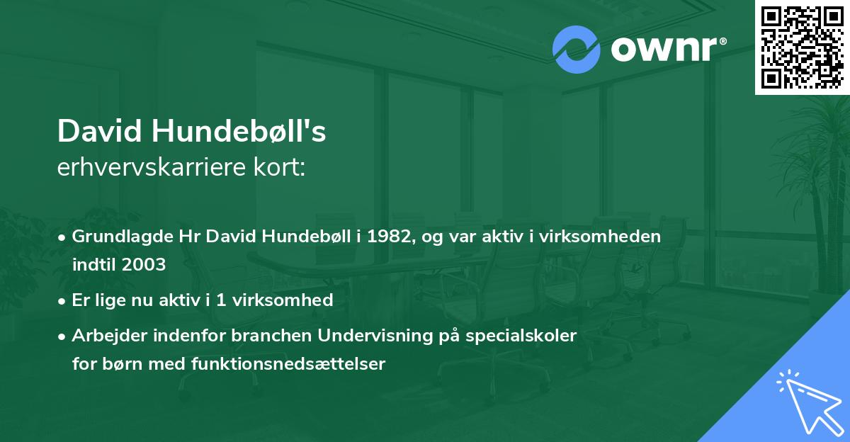 David Hundebøll's erhvervskarriere kort