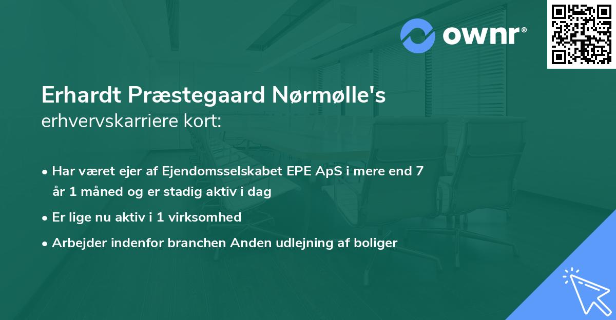 Erhardt Præstegaard Nørmølle's erhvervskarriere kort