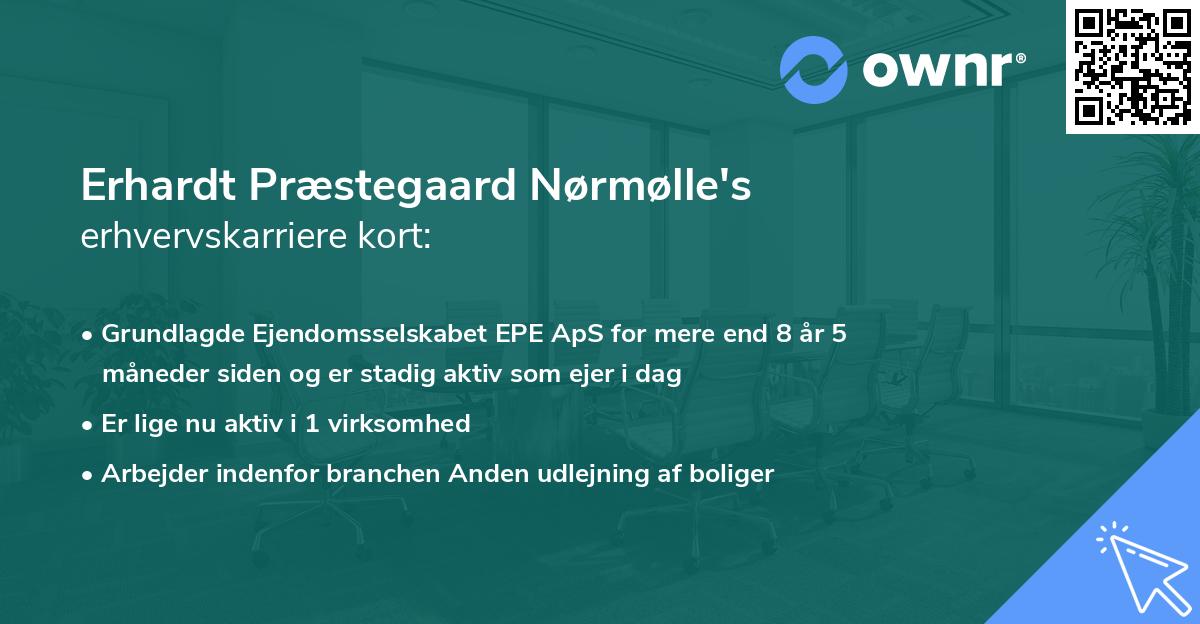 Erhardt Præstegaard Nørmølle's erhvervskarriere kort