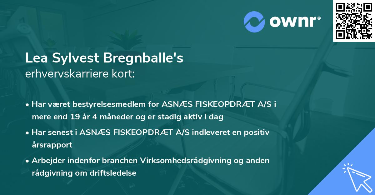 Lea Sylvest Bregnballe's erhvervskarriere kort