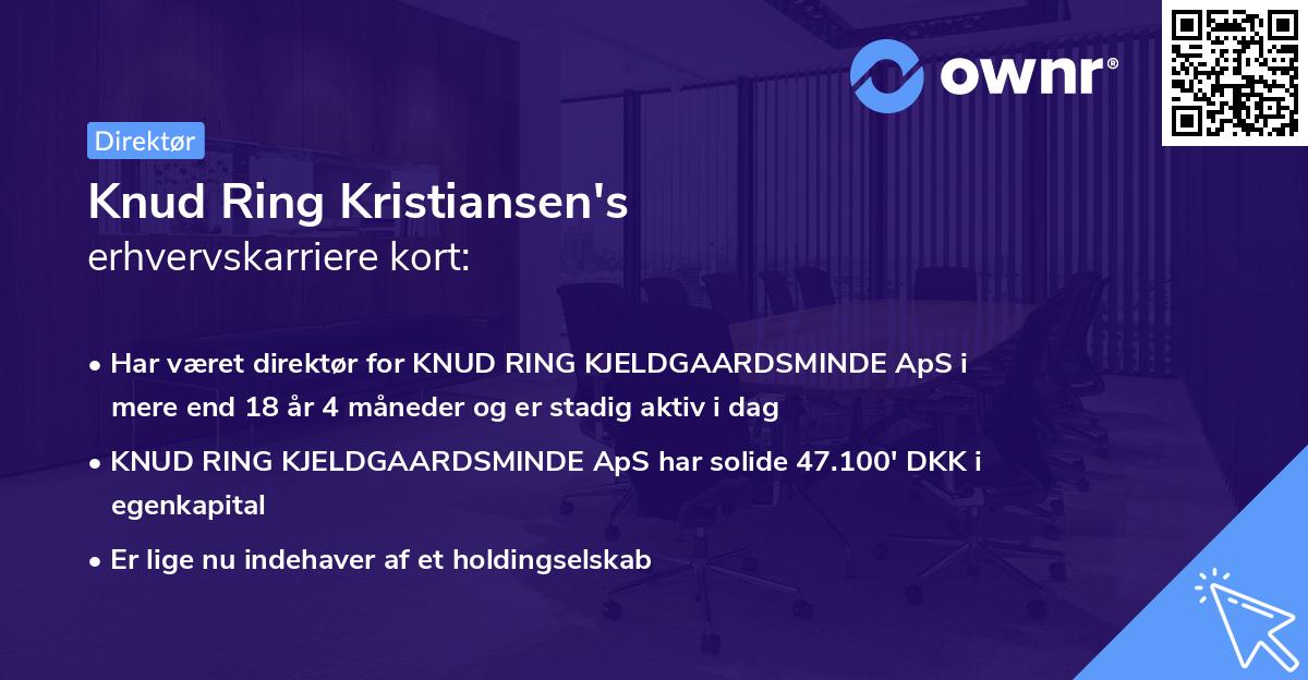 Knud Ring Kristiansen's erhvervskarriere kort