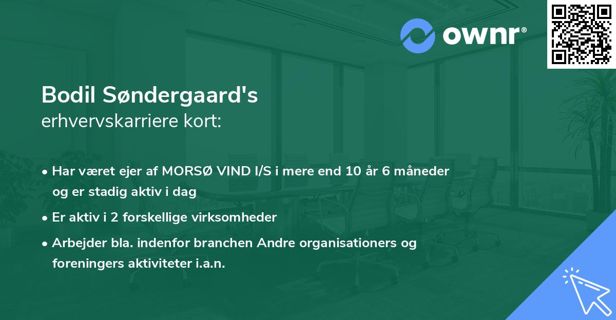Bodil Søndergaard's erhvervskarriere kort