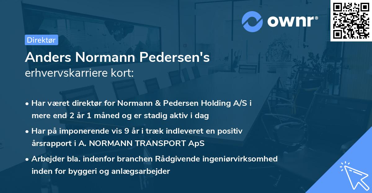 Anders Normann Pedersen's erhvervskarriere kort