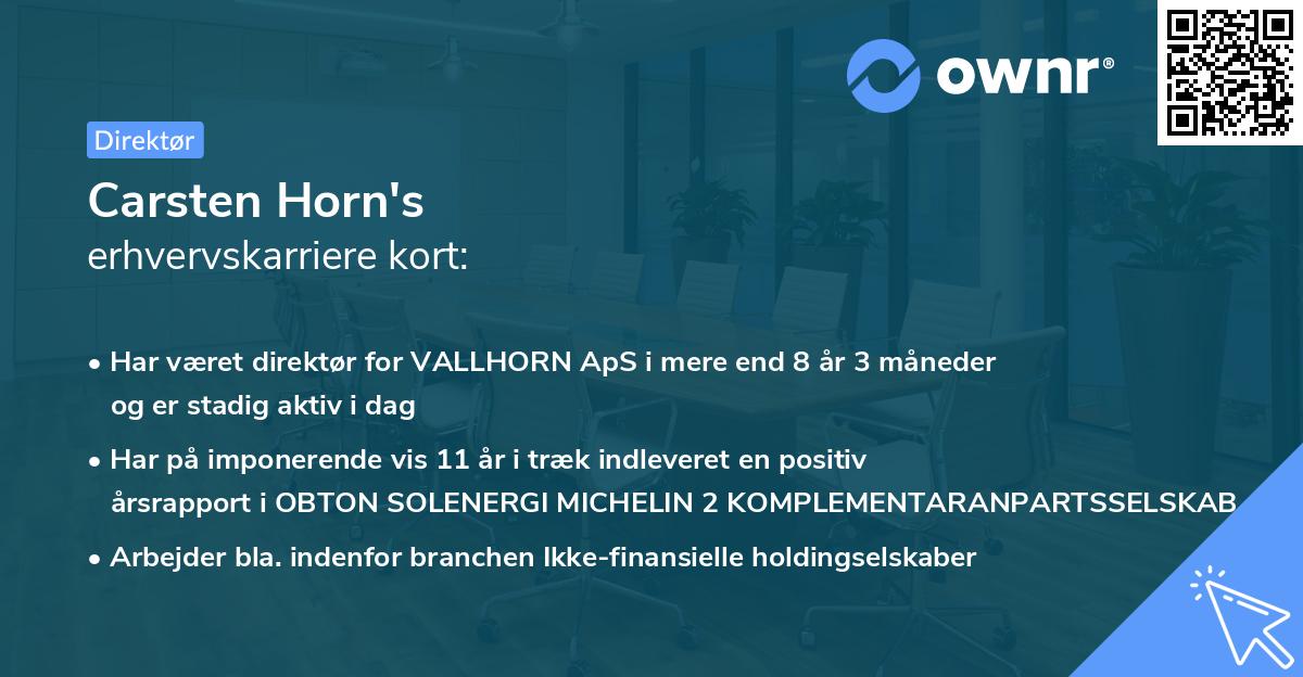 Carsten Horn's erhvervskarriere kort