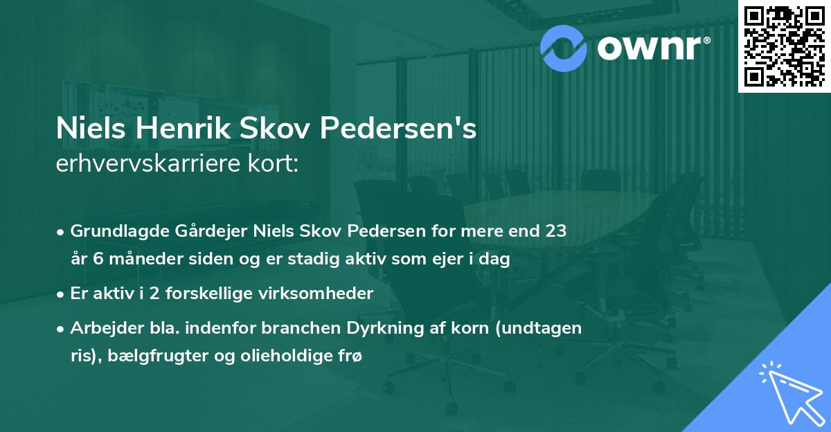 Niels Henrik Skov Pedersen's erhvervskarriere kort