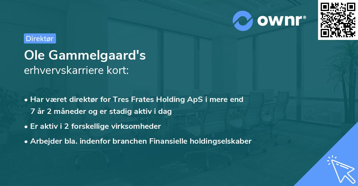 Ole Gammelgaard's erhvervskarriere kort
