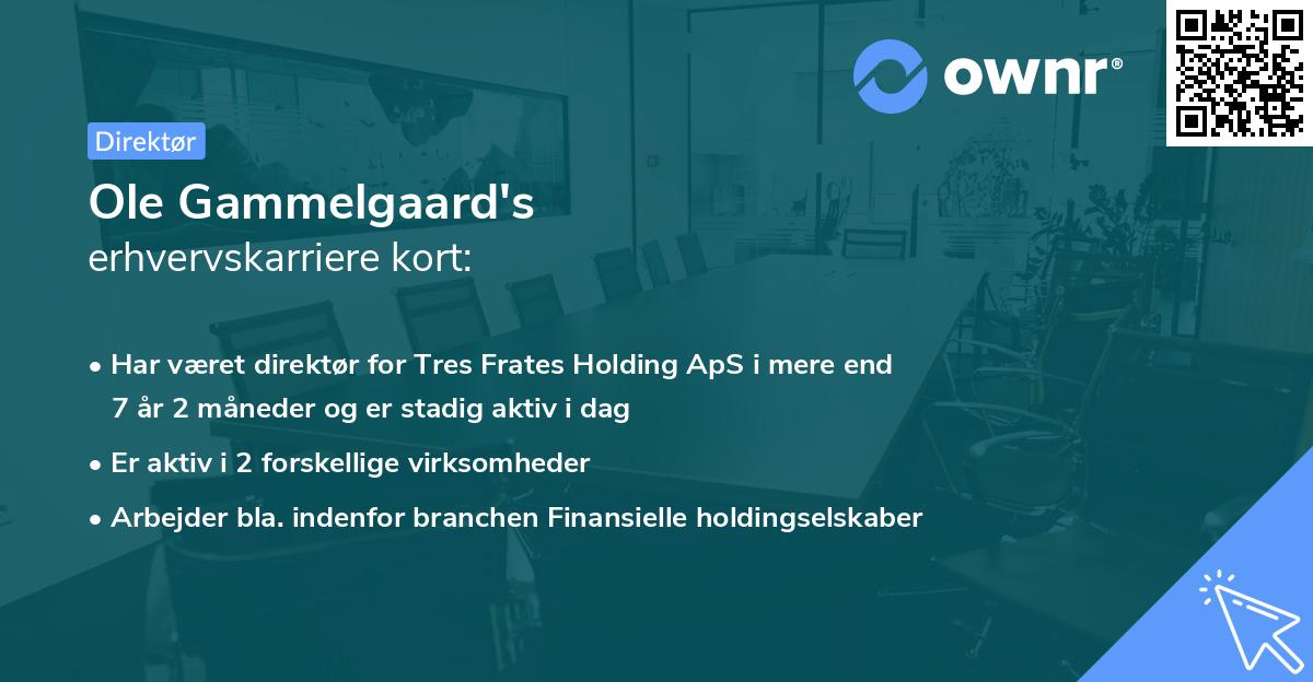 Ole Gammelgaard's erhvervskarriere kort