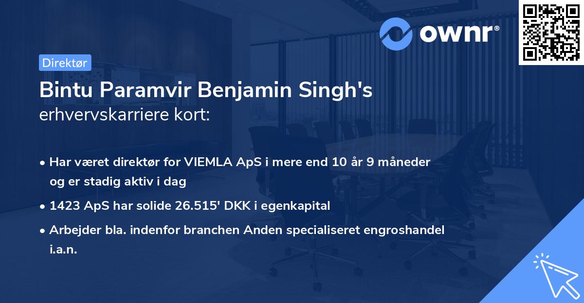 Bintu Paramvir Benjamin Singh's erhvervskarriere kort