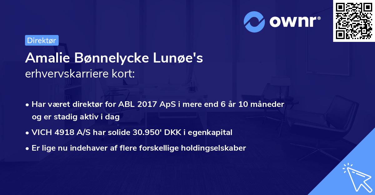 Amalie Bønnelycke Lunøe's erhvervskarriere kort