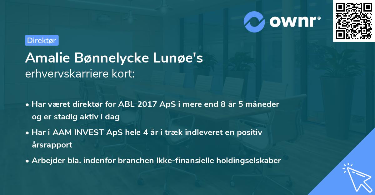 Amalie Bønnelycke Lunøe's erhvervskarriere kort