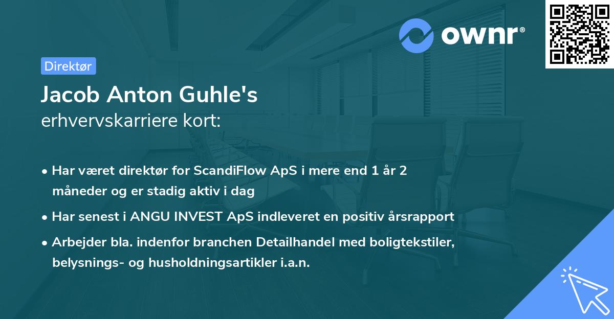 Jacob Anton Guhle's erhvervskarriere kort