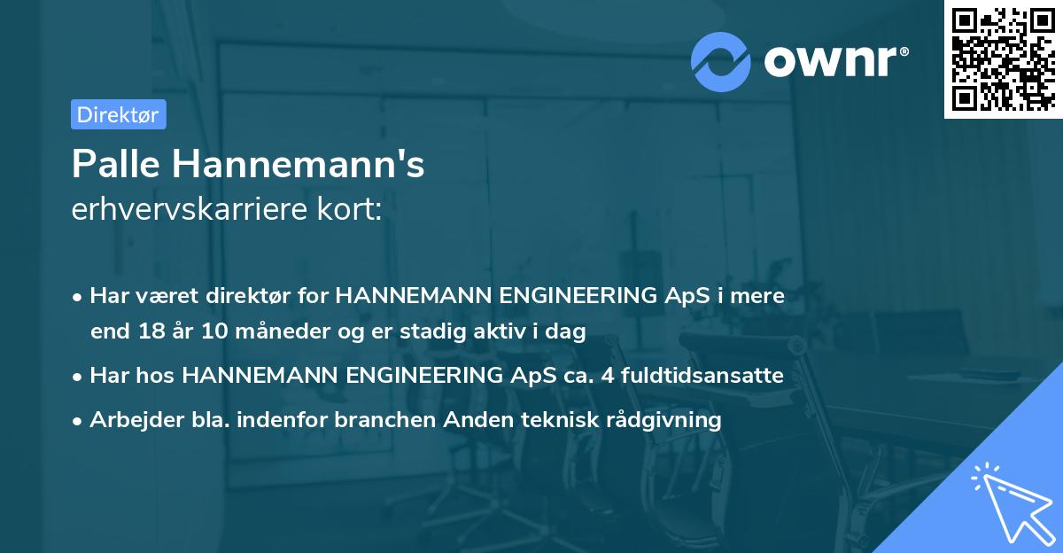 Palle Hannemann's erhvervskarriere kort