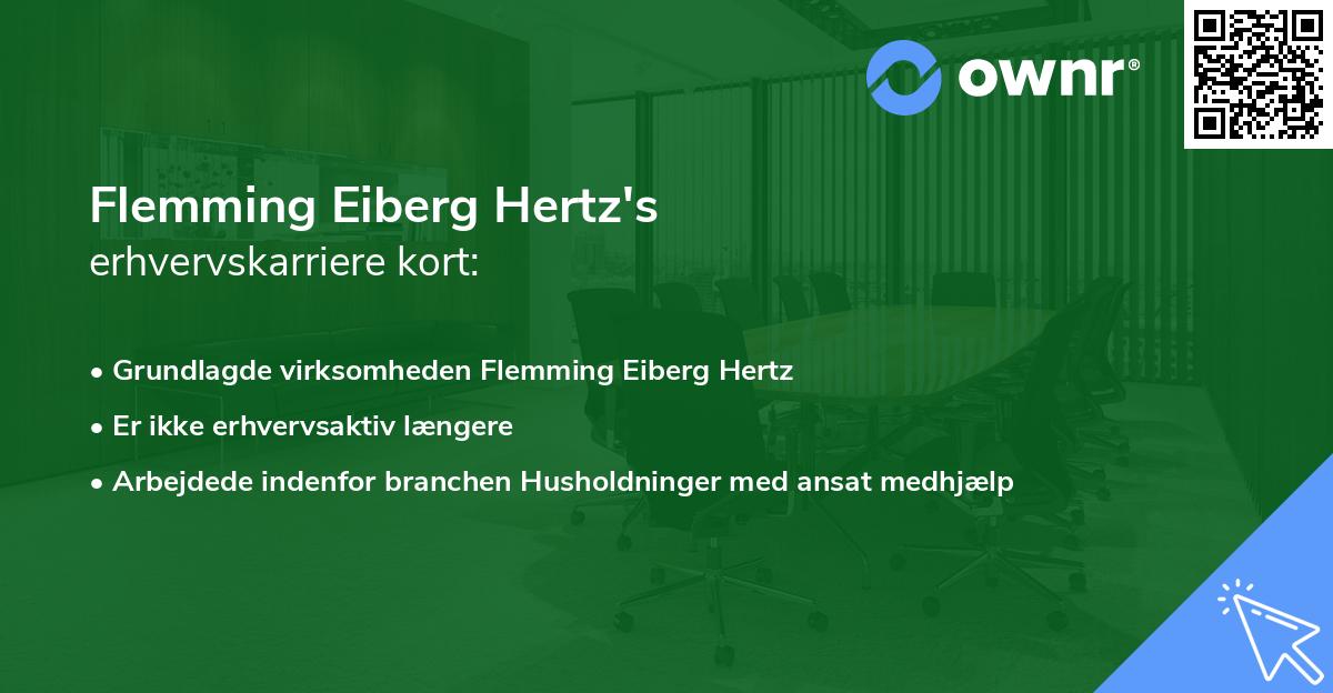 Flemming Eiberg Hertz's erhvervskarriere kort