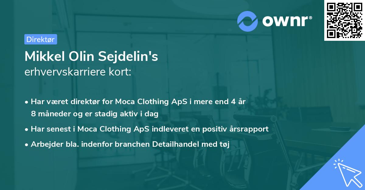 Mikkel Olin Sejdelin's erhvervskarriere kort