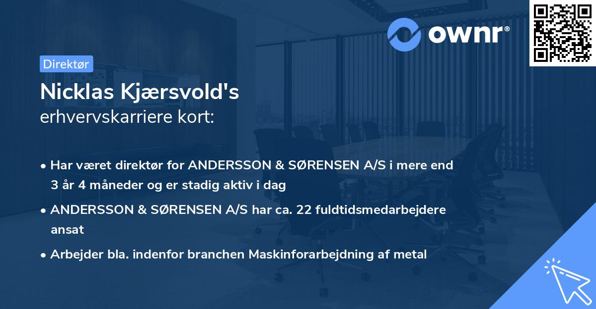 Nicklas Kjærsvold's erhvervskarriere kort