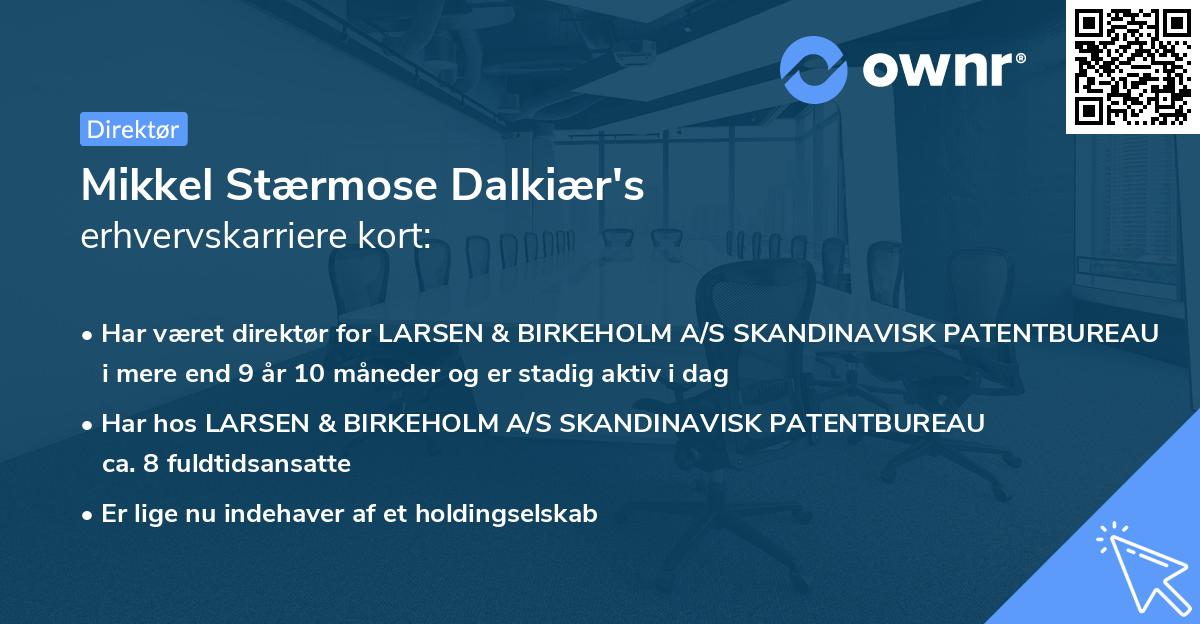 Mikkel Stærmose Dalkiær's erhvervskarriere kort