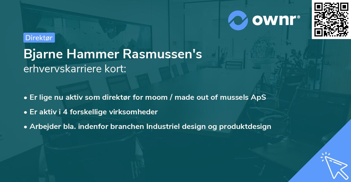 Bjarne Hammer Rasmussen's erhvervskarriere kort