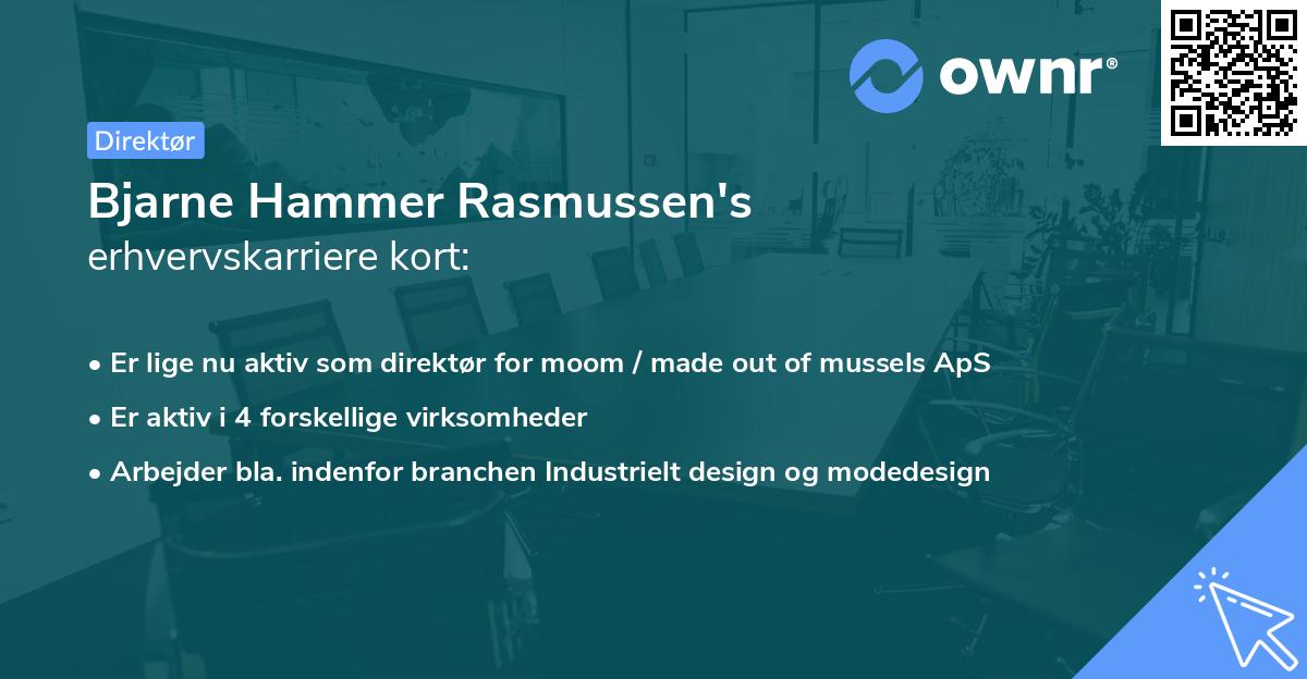 Bjarne Hammer Rasmussen's erhvervskarriere kort