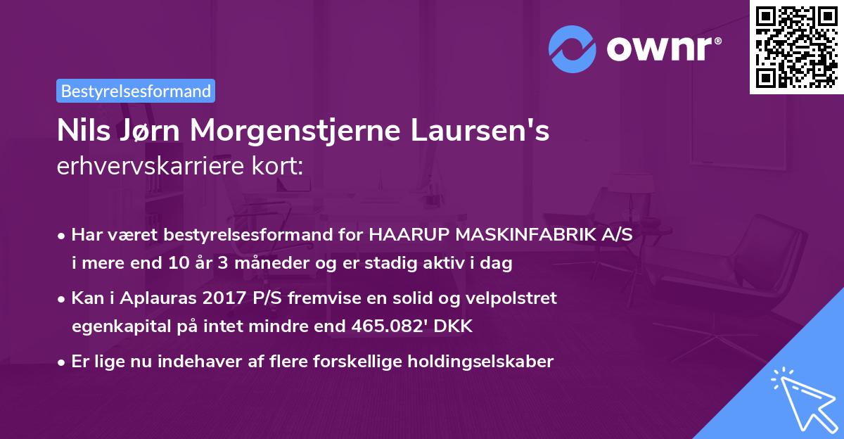 Nils Jørn Morgenstjerne Laursen's erhvervskarriere kort