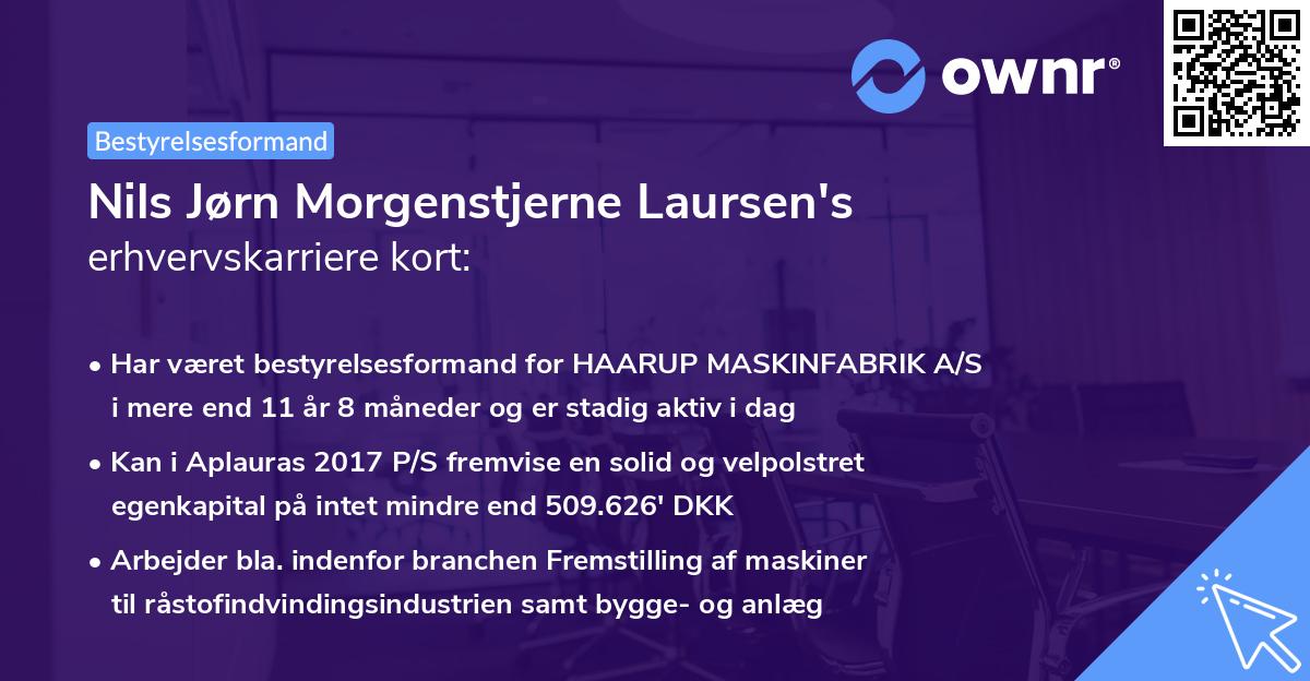 Nils Jørn Morgenstjerne Laursen's erhvervskarriere kort
