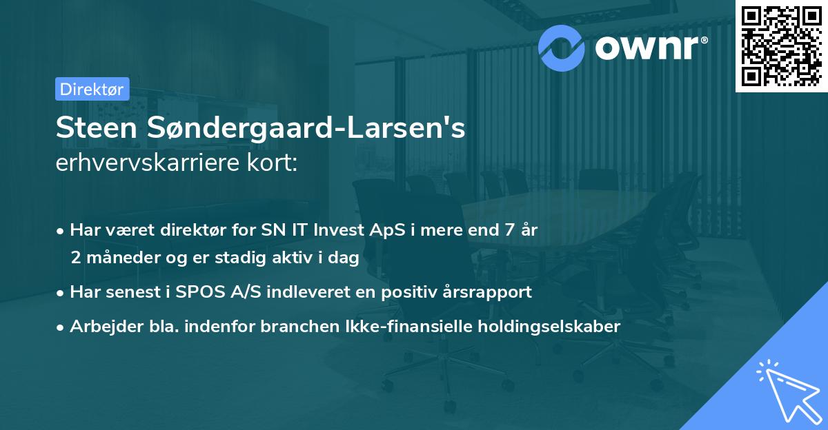 Steen Søndergaard-Larsen's erhvervskarriere kort