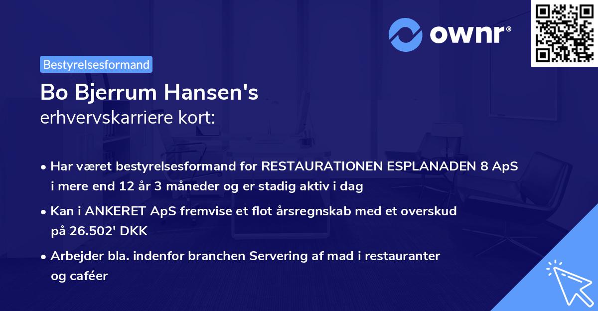 Bo Bjerrum Hansen's erhvervskarriere kort