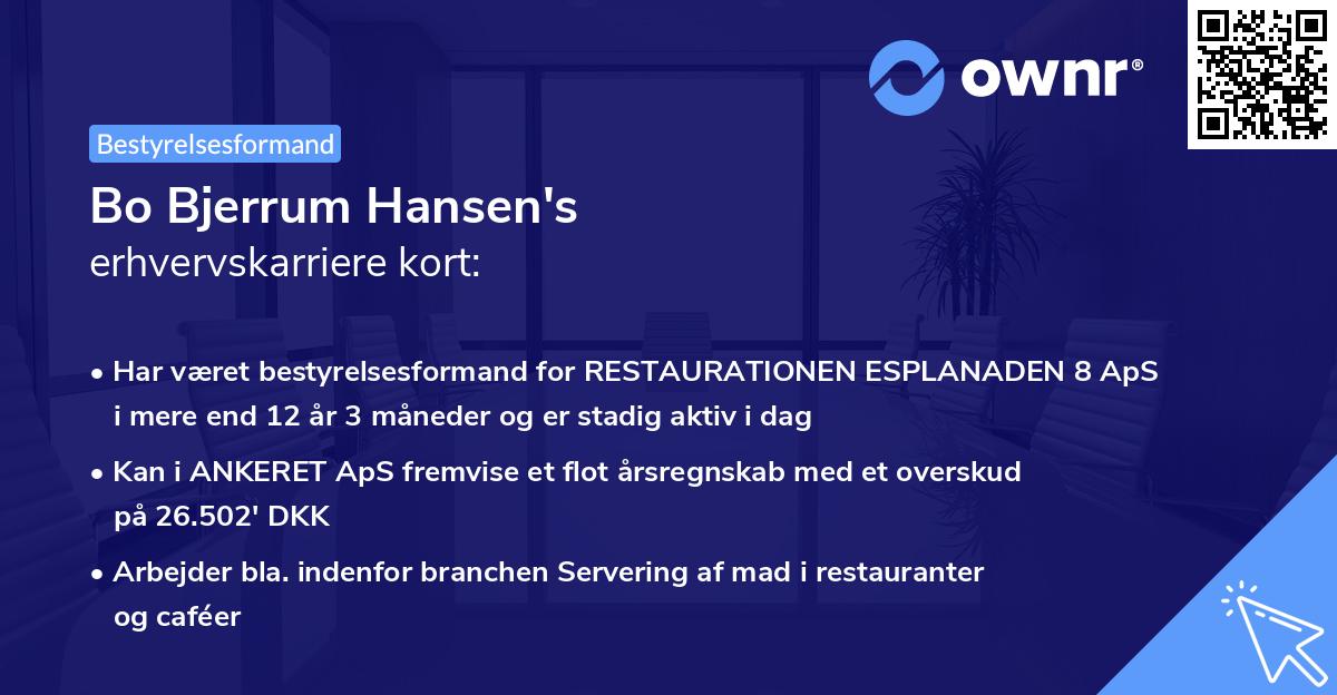 Bo Bjerrum Hansen's erhvervskarriere kort