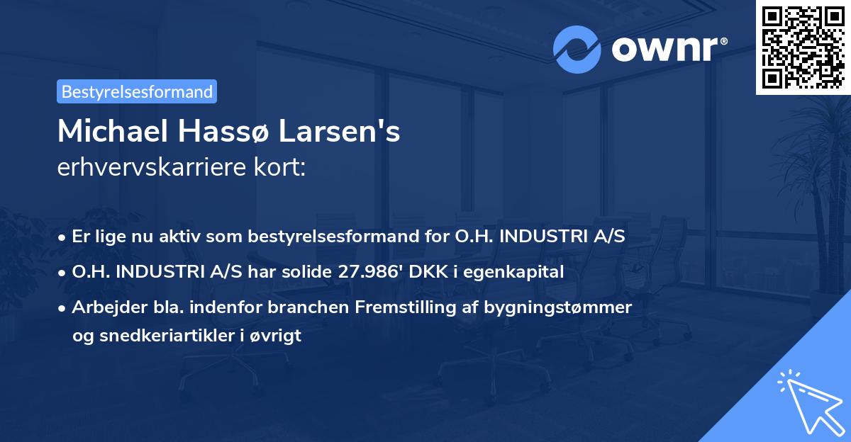 Michael Hassø Larsen's erhvervskarriere kort