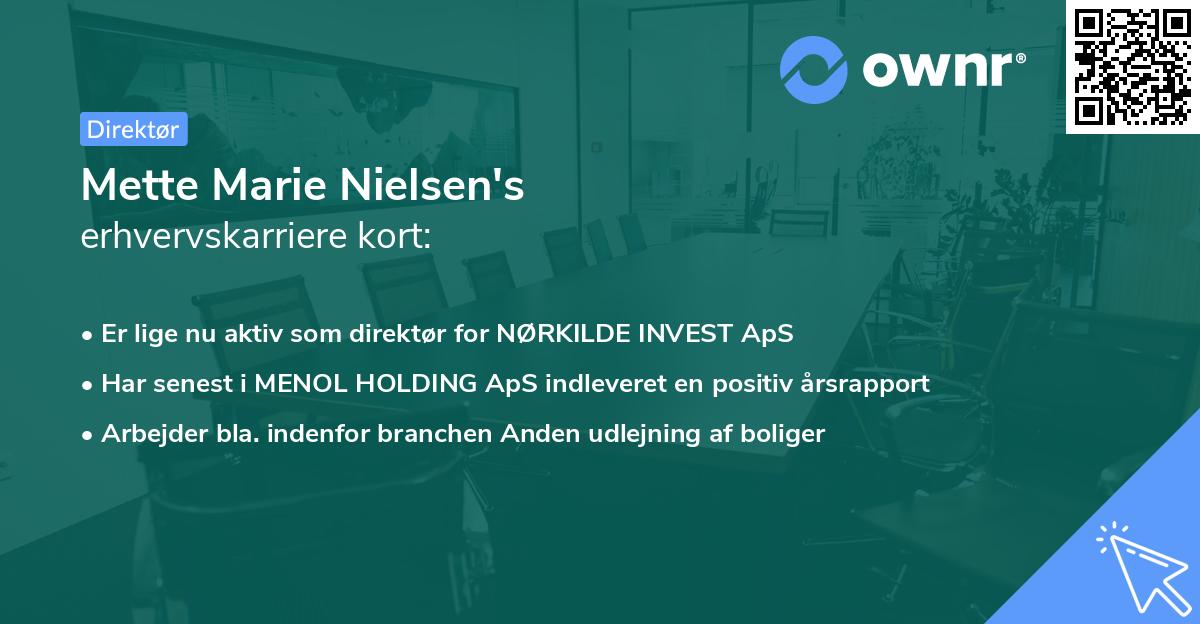 Mette Marie Nielsen's erhvervskarriere kort