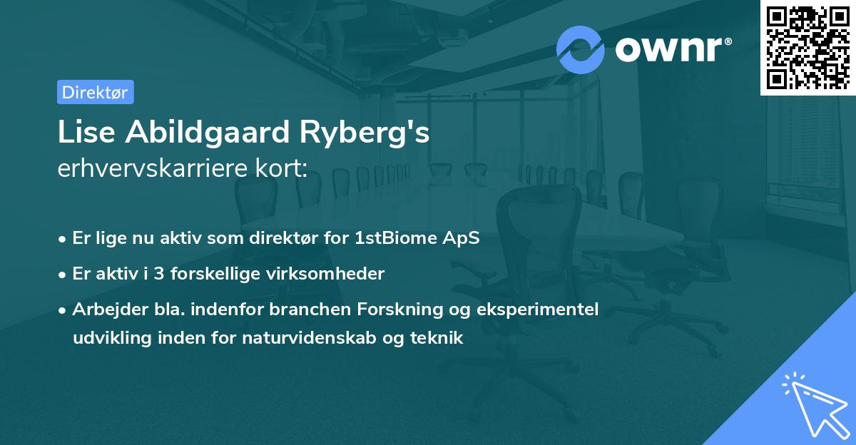 Lise Abildgaard Ryberg's erhvervskarriere kort
