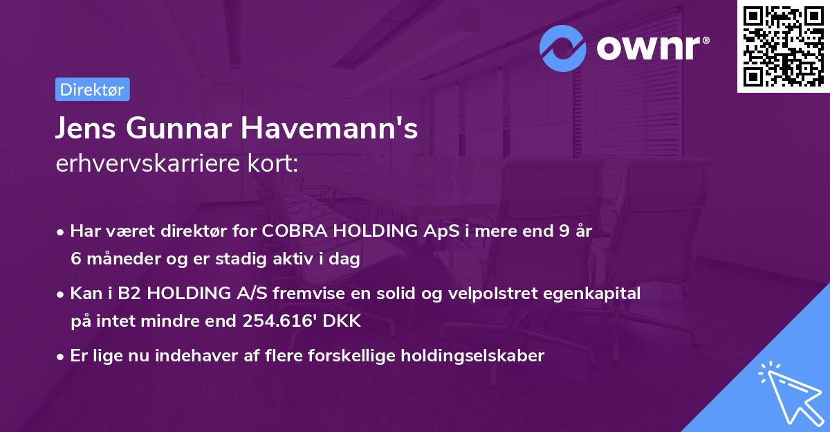 Jens Gunnar Havemann's erhvervskarriere kort