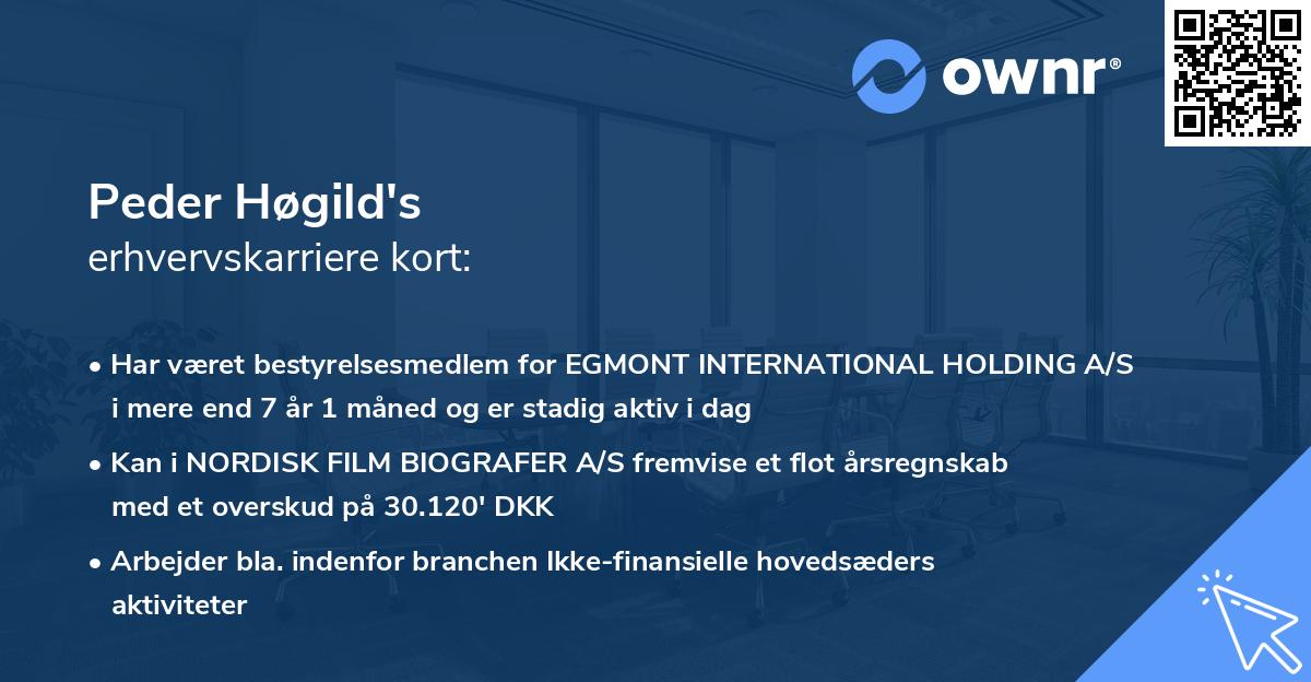 Peder Høgild's erhvervskarriere kort