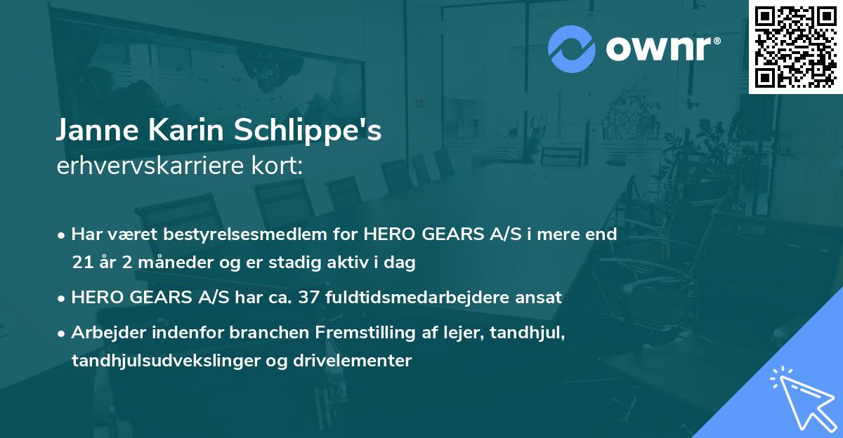 Janne Karin Schlippe's erhvervskarriere kort