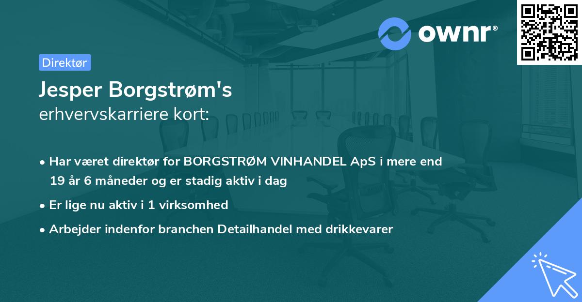 Jesper Borgstrøm's erhvervskarriere kort