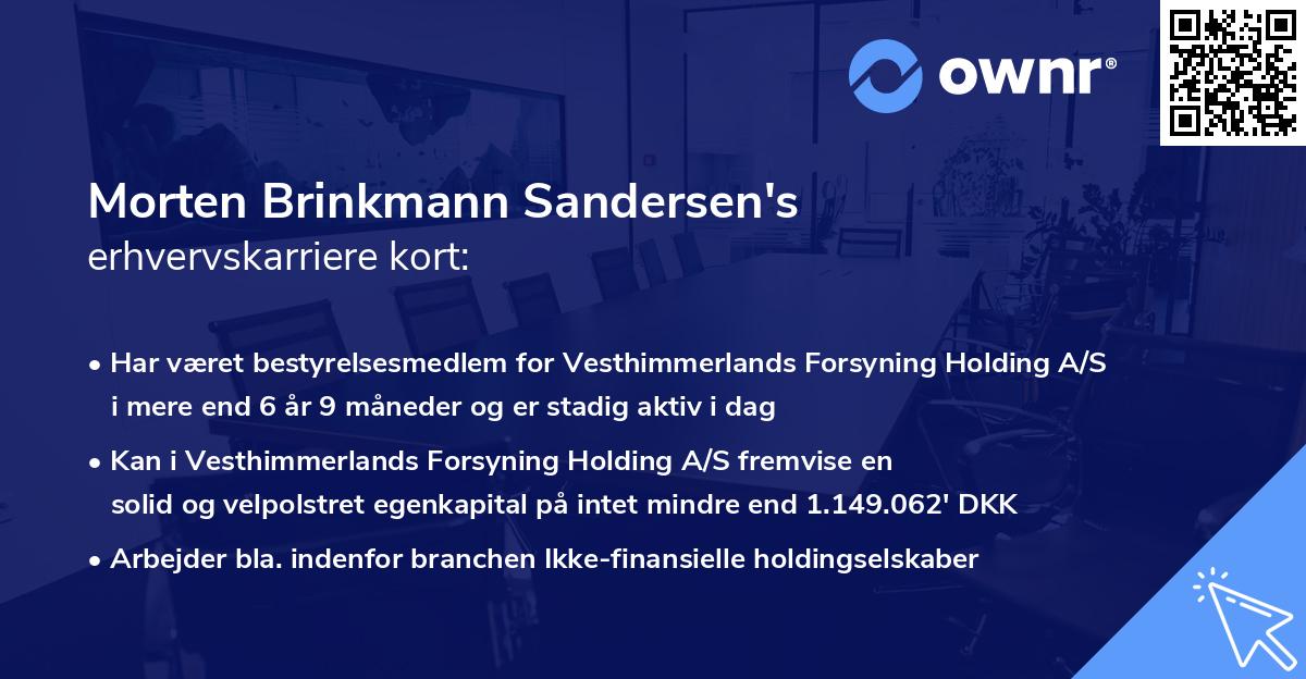 Morten Brinkmann Sandersen's erhvervskarriere kort