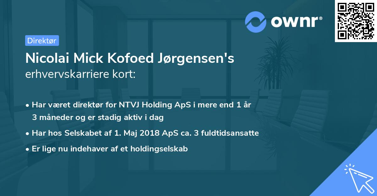 Nicolai Mick Kofoed Jørgensen's erhvervskarriere kort