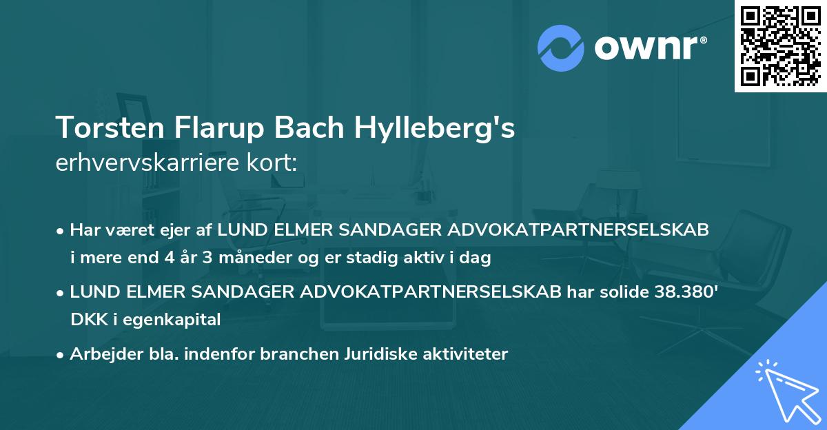 Torsten Flarup Bach Hylleberg's erhvervskarriere kort