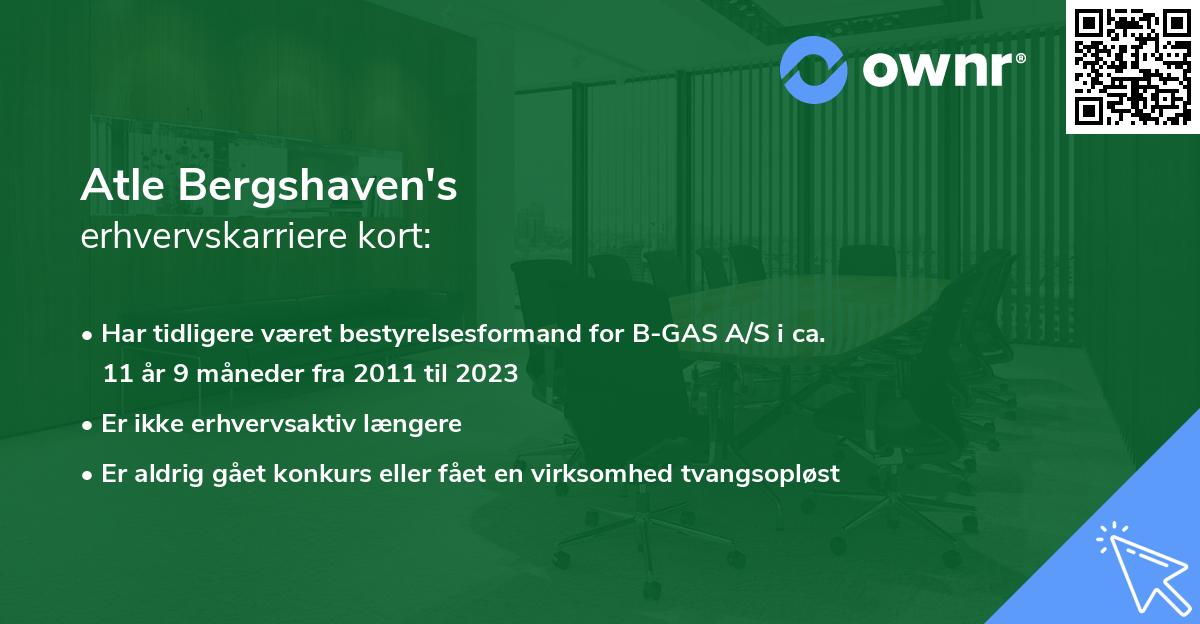 Atle Bergshaven's erhvervskarriere kort