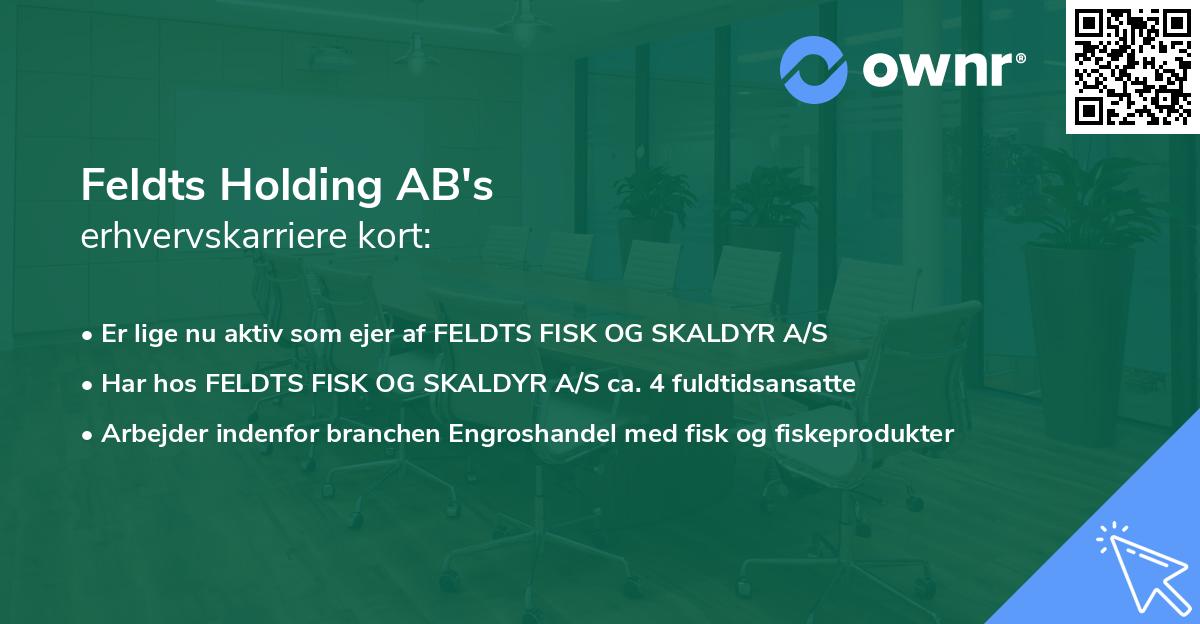 Feldts Holding AB's erhvervskarriere kort