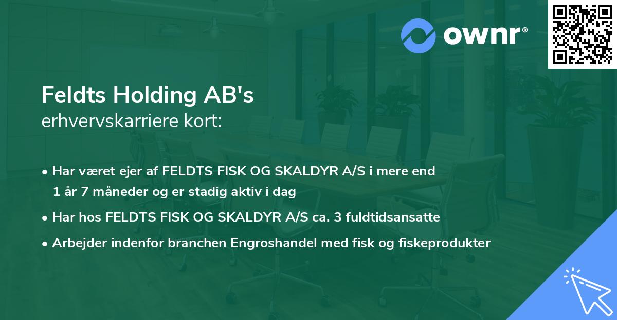 Feldts Holding AB's erhvervskarriere kort