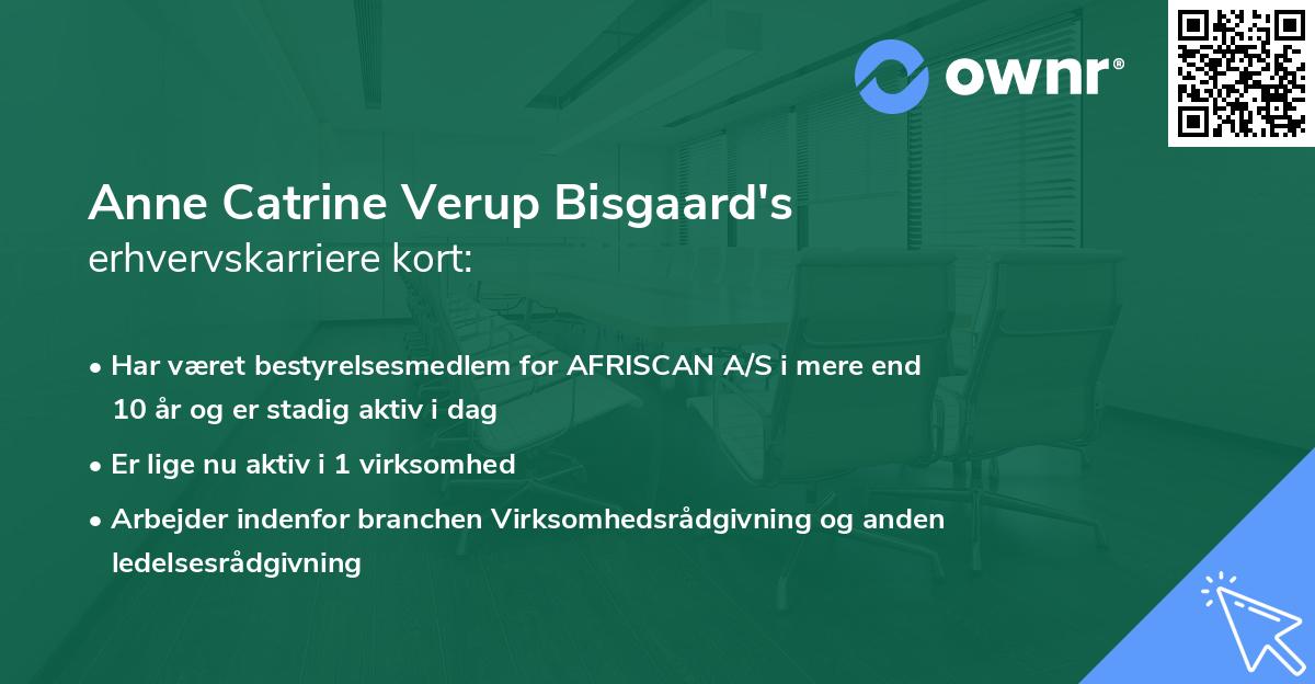 Anne Catrine Verup Bisgaard's erhvervskarriere kort