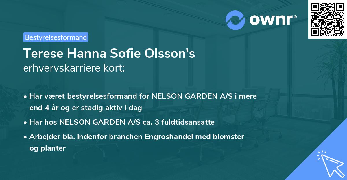 Terese Hanna Sofie Olsson's erhvervskarriere kort