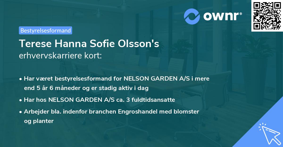 Terese Hanna Sofie Olsson's erhvervskarriere kort